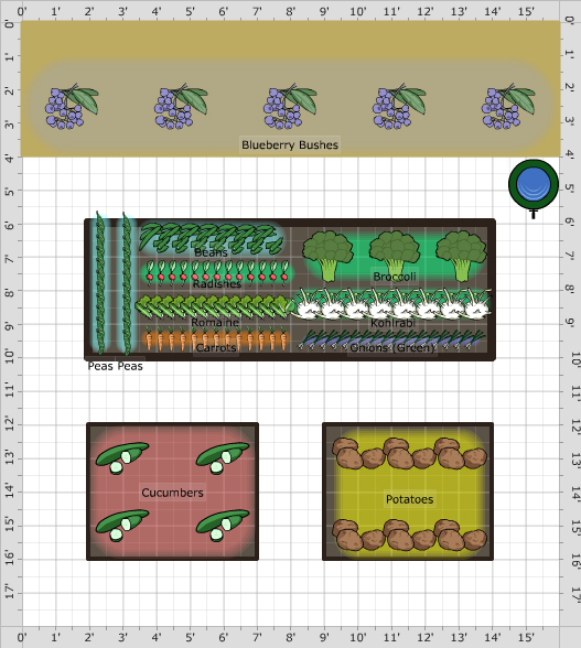 layout of raised beds in backyard garden