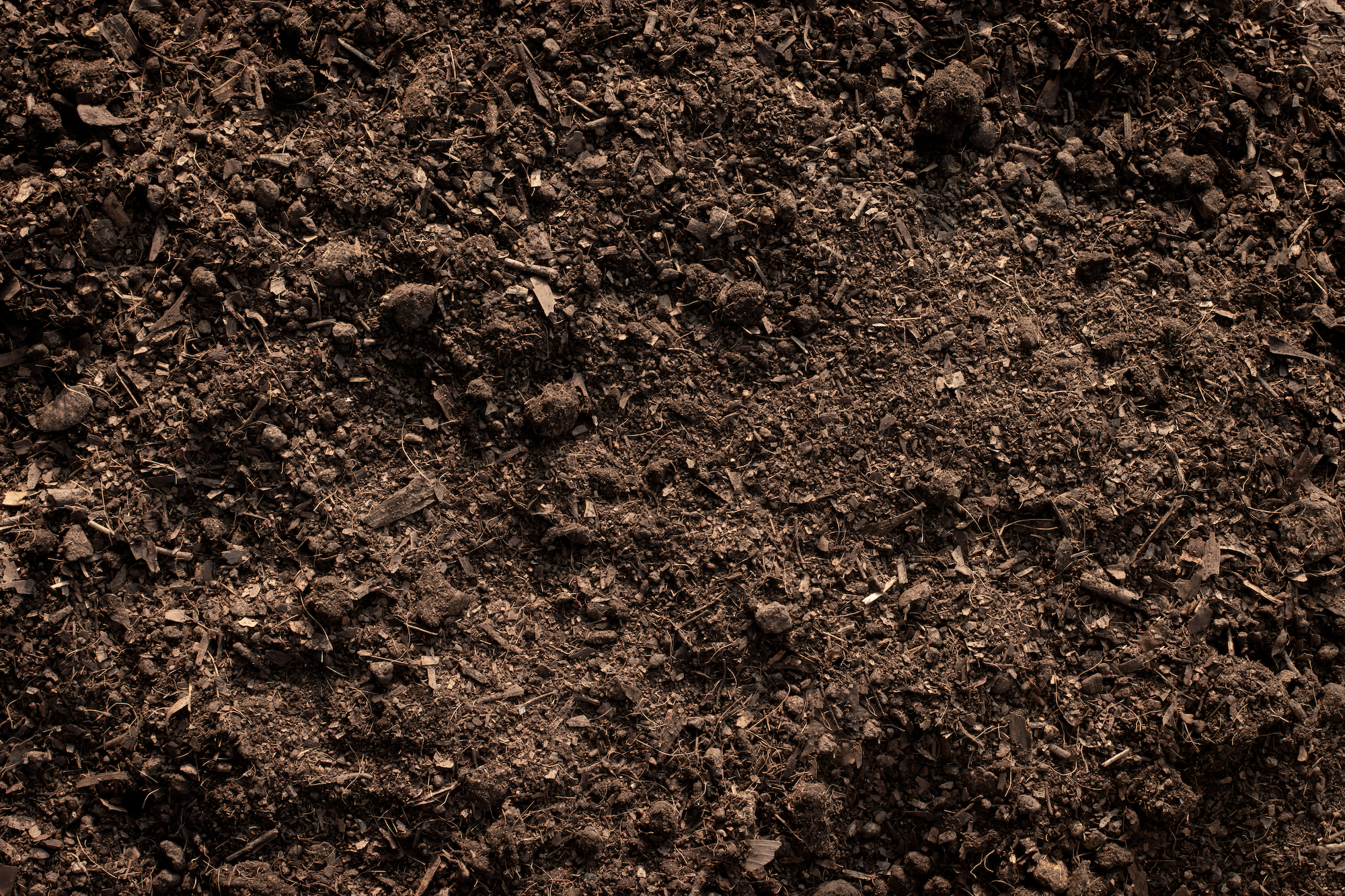 Loam soil, ideal for planting