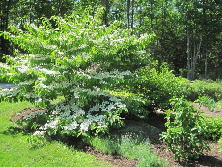 callihan_garden_012_full_width.jpg