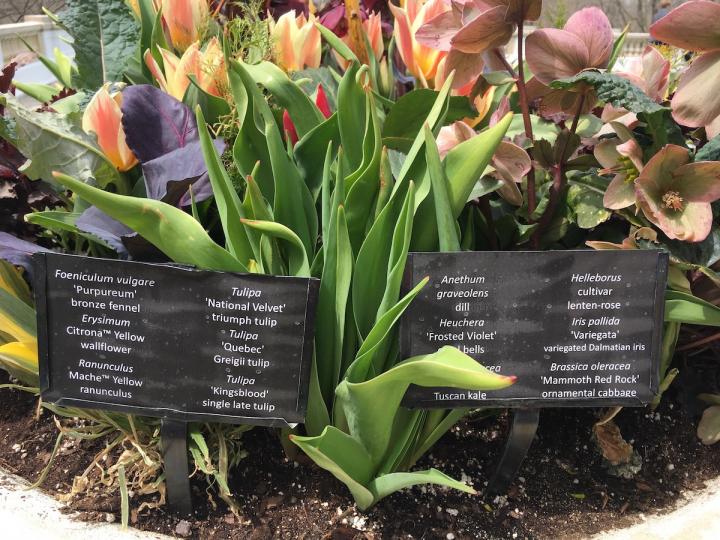 container-flowers-label_full_width.jpg
