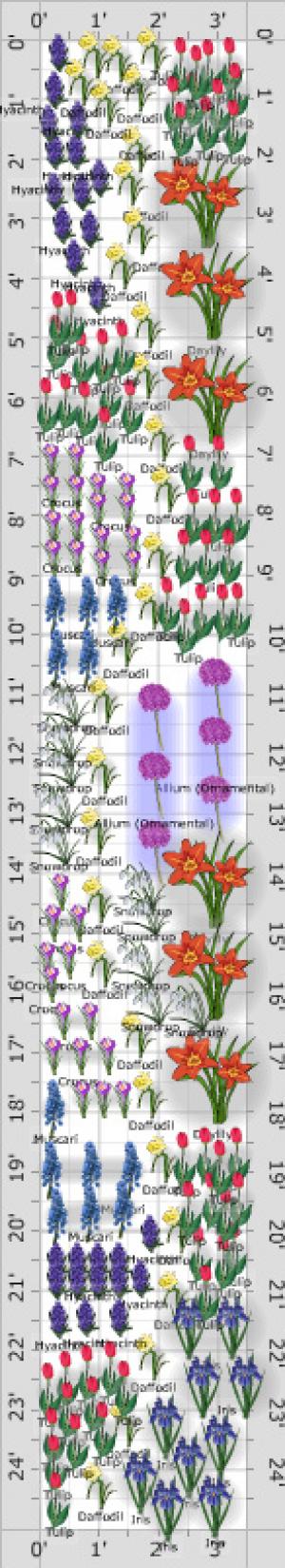 flower garden layout
