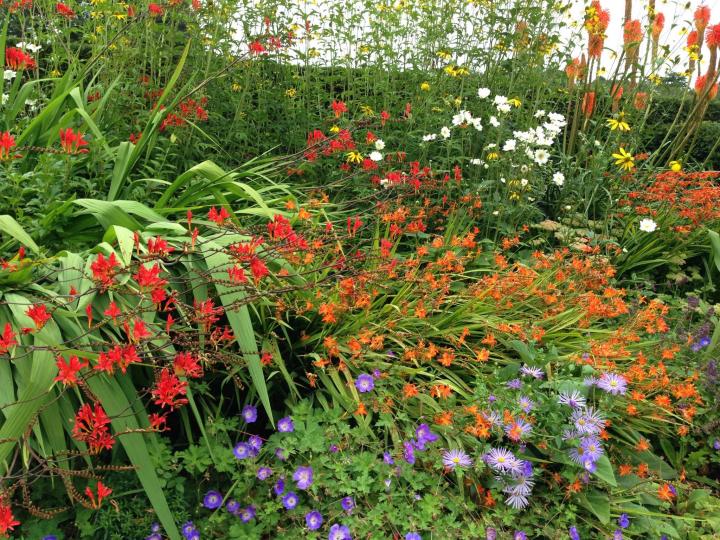 flower garden