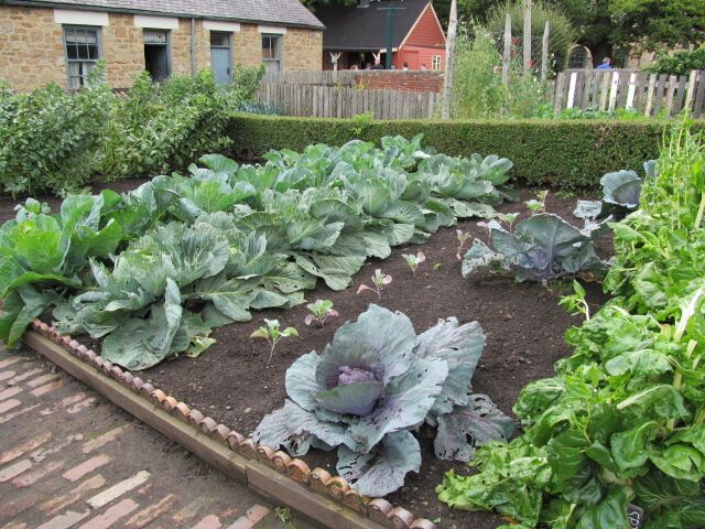 homestead_garden2.jpg